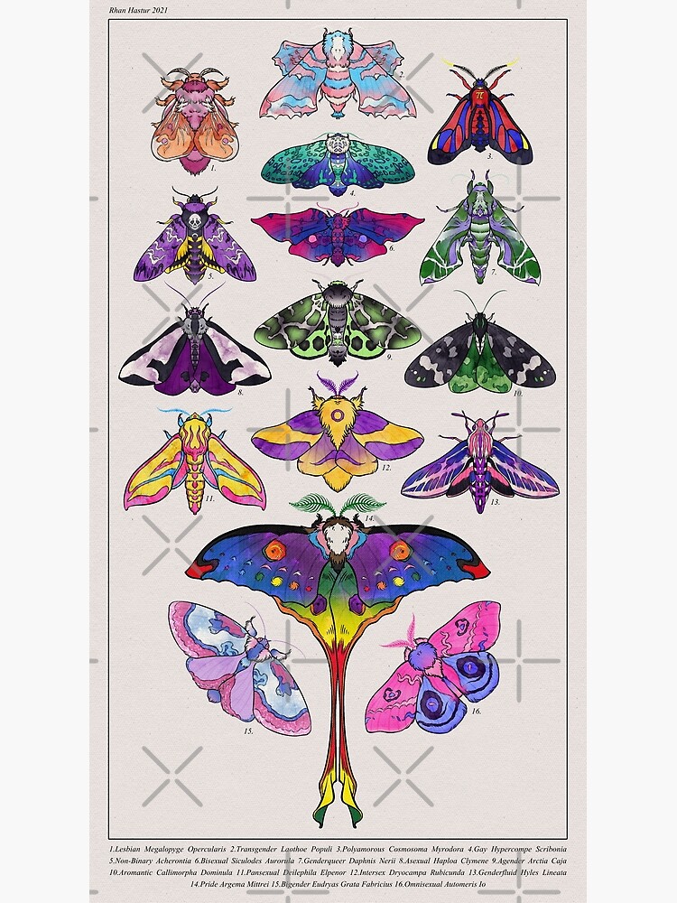 Pride Moths: Full by EvaraHargreaves