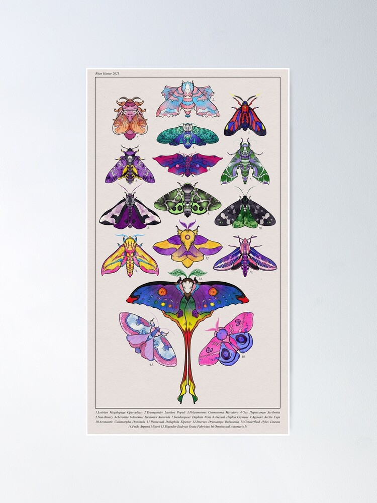 Alternate view of Pride Moths: Full Poster