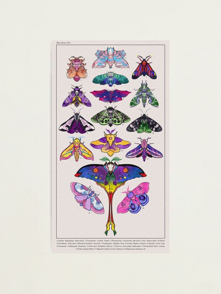 Alternate view of Pride Moths: Full Photographic Print