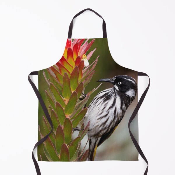 Item preview, New Holland Honeyeater with a Leucadendron flower designed and sold by theleastone.