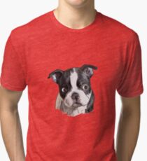 Cute Boston Terrier Dog Puppy Tri-blend T-Shirt