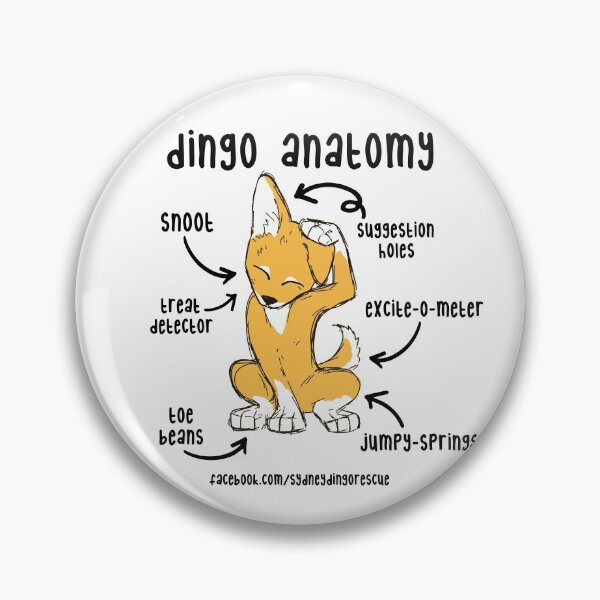 Item preview, Dingo Anatomy  designed and sold by Sydney Fox and Dingo  Rescue.