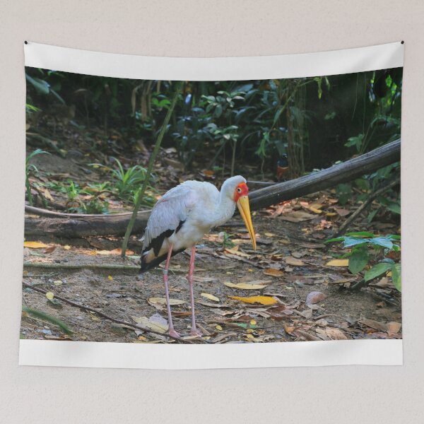 Item preview, Yellow-billed stork at the zoo designed and sold by FranWest.