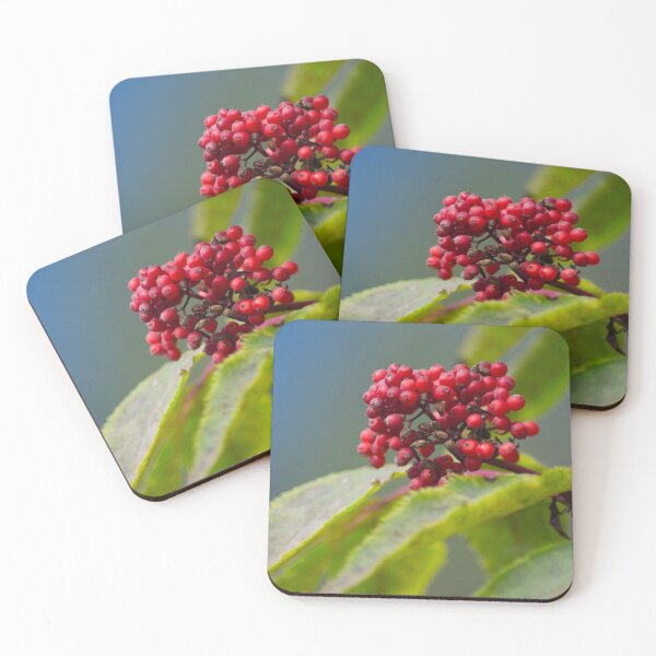 Item preview, Red berries on a branch designed and sold by Nadia Arsky.