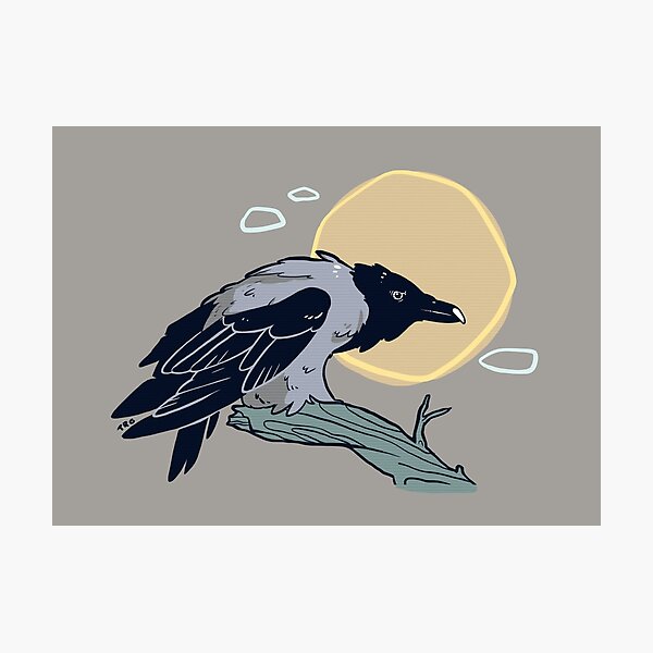 Item preview, Crow designed and sold by TRGreta's robe.