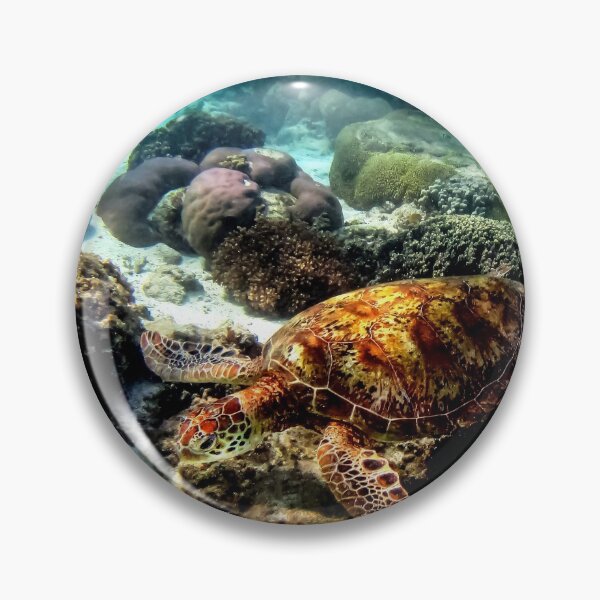 Item preview, Lady Elliot Turtle designed and sold by Annette63.