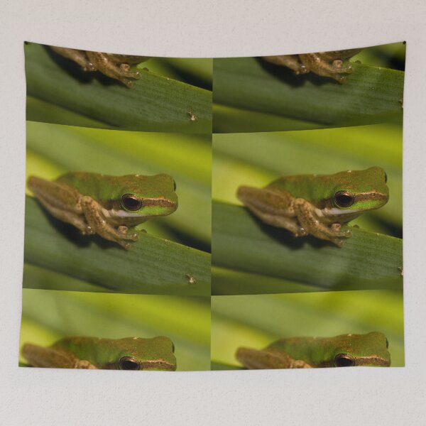 Item preview, Green Frog designed and sold by Annette63.