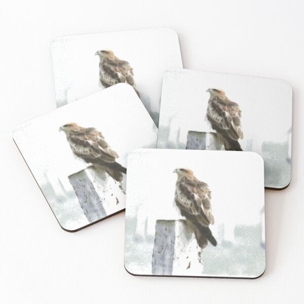 Item preview, Brahminy Kite designed and sold by Sergey Ovchinnikov.