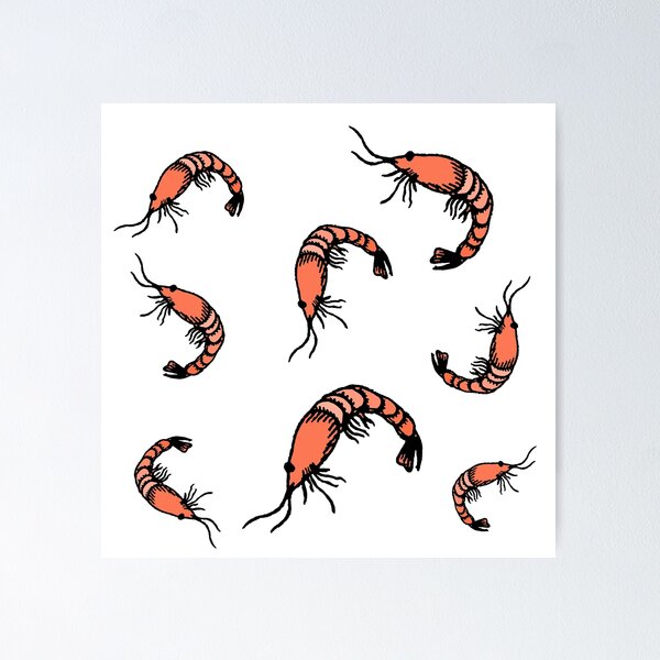 Item preview, Shrimps designed and sold by hvasilevshop.