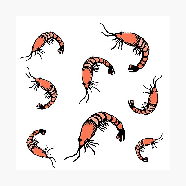 Item preview, Shrimps designed and sold by hvasilevshop.