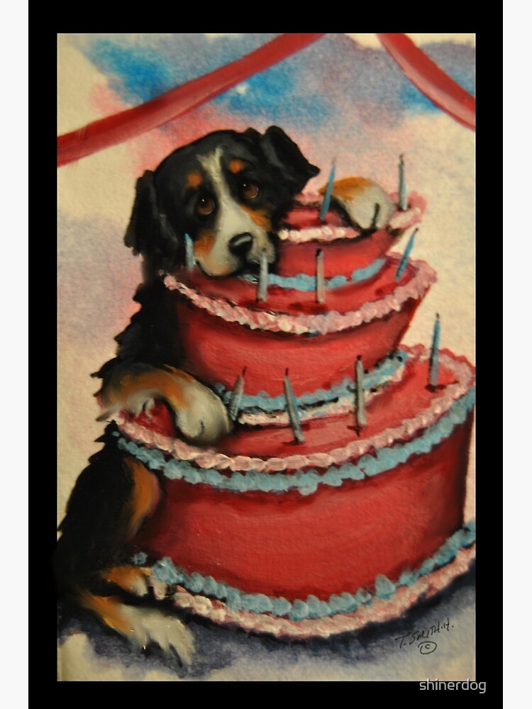 bernese mountain dog cake