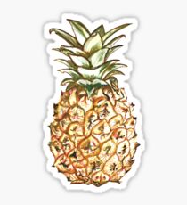 Pineapple Sticker