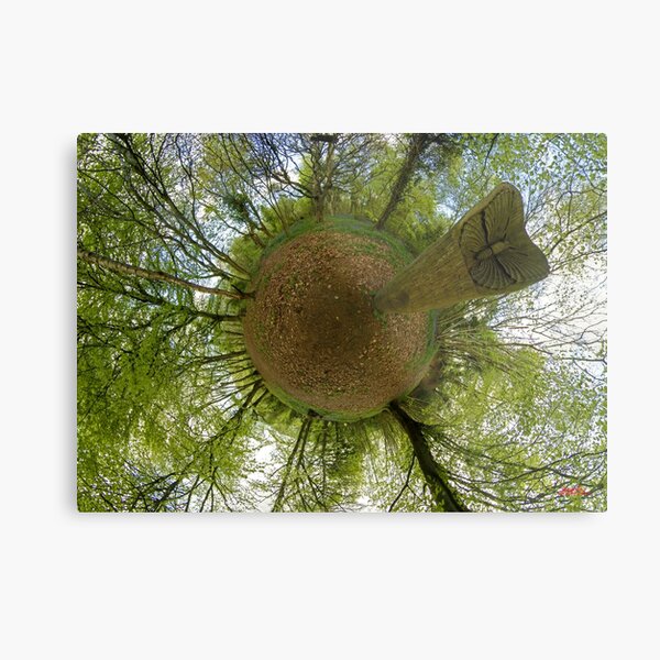 Butterfly Sculpture in Prehen Woods, Derry Metal Print