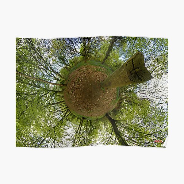 Butterfly Sculpture in Prehen Woods, Derry Poster