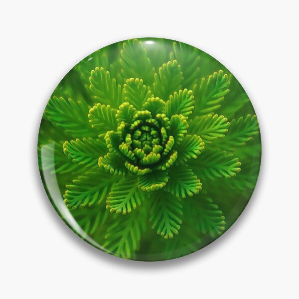 Item preview, Fern designed and sold by sashka9500.