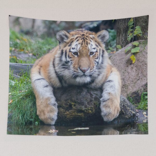 Item preview,  panoramic,panoramic wall art, panoramic canvas Tapestries,Tapestry,throw blankets,comforters,tiger,animal, animals,tiger wall art,tiger artwork,tigers,wild,tiger art,tiger painting, designed and sold by eyesight4vision.