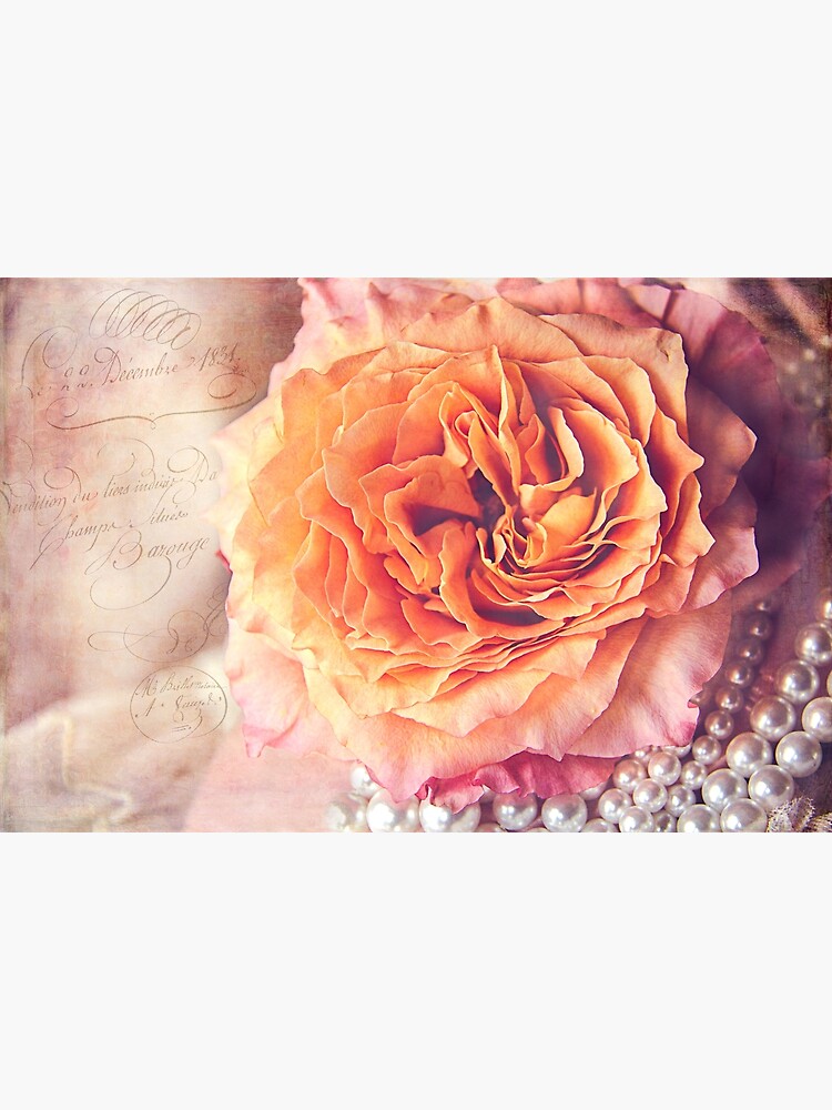 Vintage Rose by CindiR60
