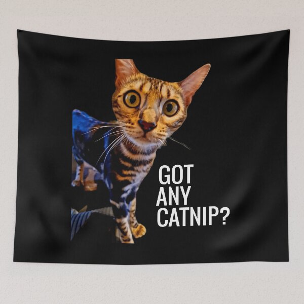 Aperçu de l'œuvre Chat Bengal drôle créée et vendue par jonrdesign.