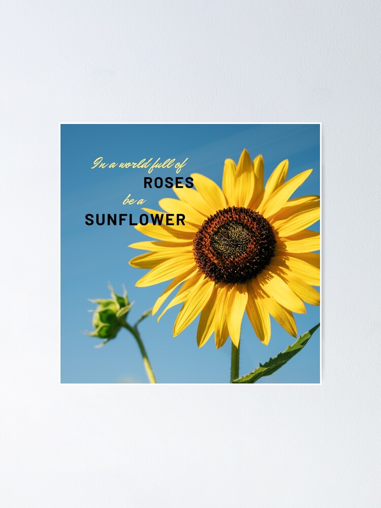 Poster Dans Un Monde Plein De Roses Sois Une Citation De Tournesol Par Saffron Bumble Redbubble