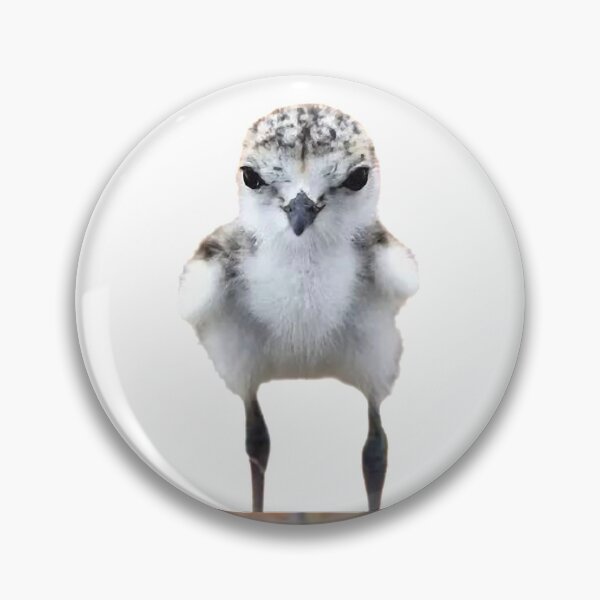 Item preview, Ring-necked plover is a bird belonging to the genus Plover family, and is called Eastern Ring-necked Plover in Taiwan designed and sold by zenger2021.