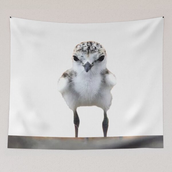 Item preview, Ring-necked plover is a bird belonging to the genus Plover family, and is called Eastern Ring-necked Plover in Taiwan designed and sold by zenger2021.