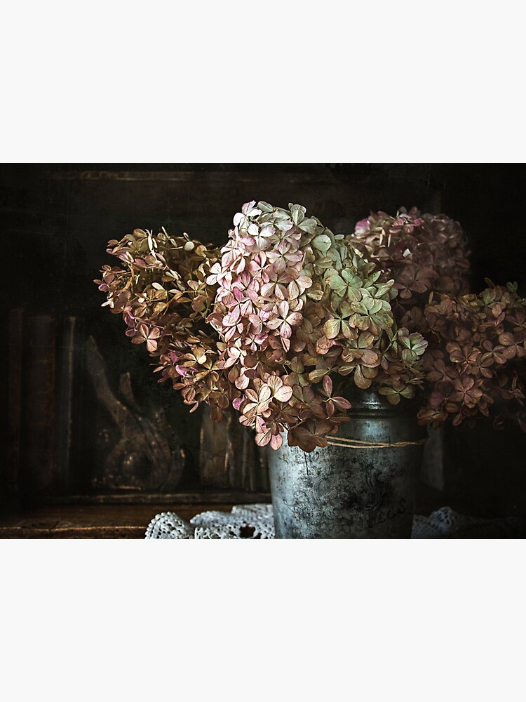 Hydrangea Bouquet by CindiR60