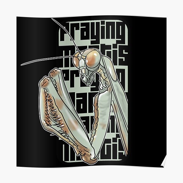 Praying Mantis Poster