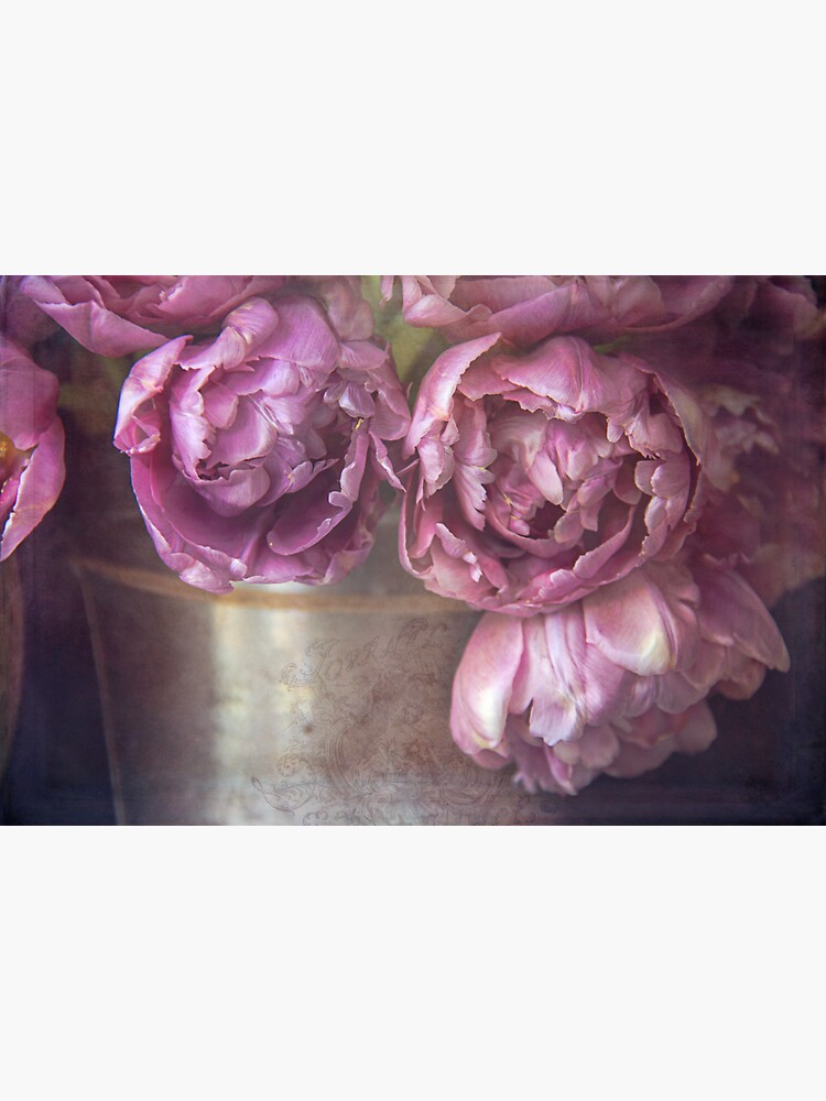 Double Bloom Tulips by CindiR60
