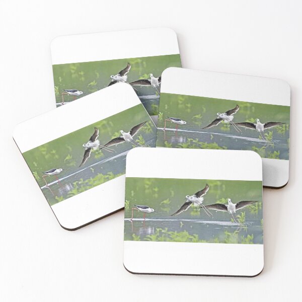 Item preview, Fuhaiwei wetland stilt plover, stilt plover foraging for food designed and sold by zenger2021.