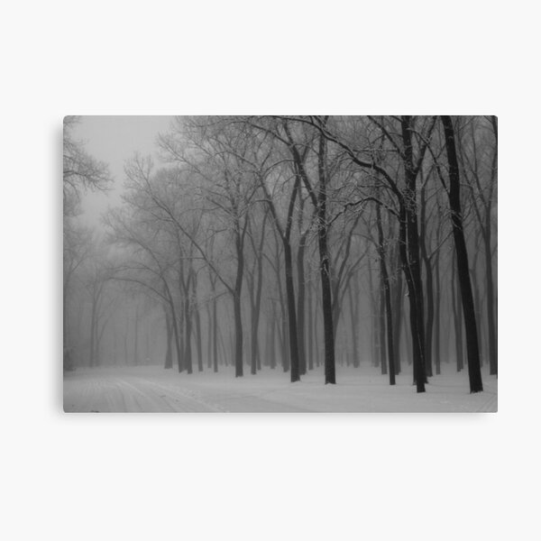 Clay County Park Canvas Print