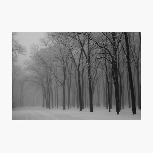 Clay County Park Photographic Print