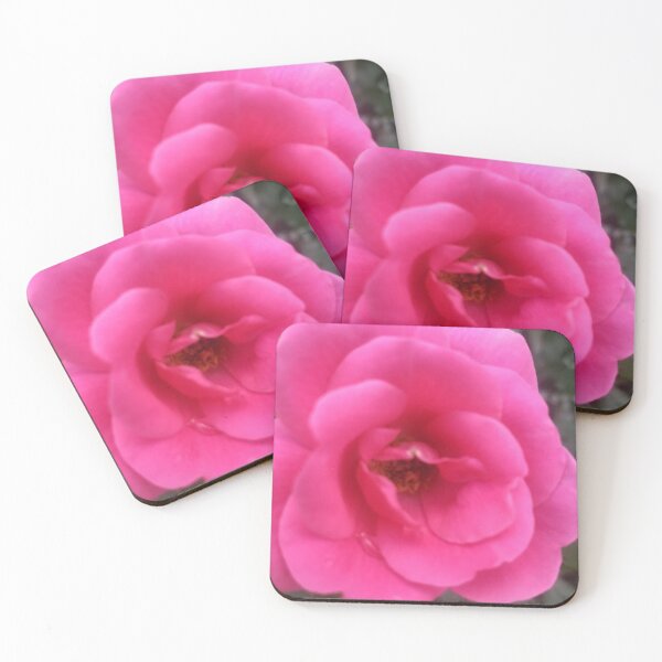 Item preview, Picture of a Beautiful Pink Rose designed and sold by Freedom Homestead.