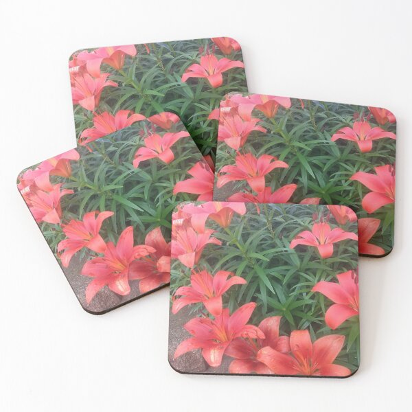 Aperçu de l'œuvre Photo de belles fleurs rouges créée et vendue par Freedom Homestead.