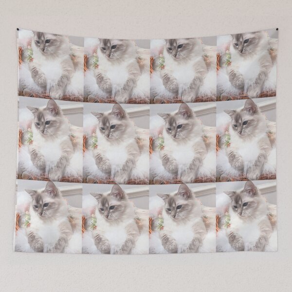 Item preview, Saoirse the lynx ragdoll cat designed and sold by Fluffycat2020.