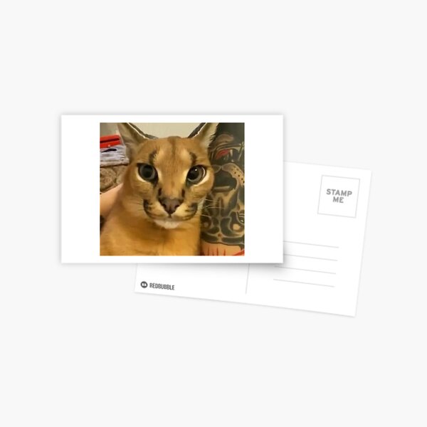 Drunk Floppa Meme Caracal Cat  Postcard for Sale by fomodesigns