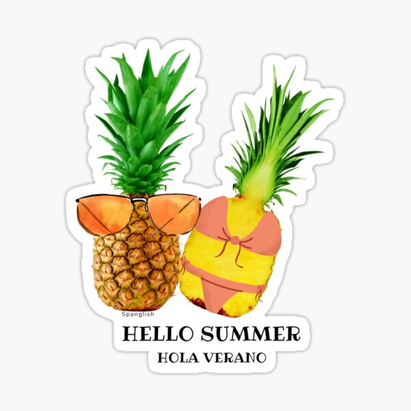 Hello summer or hello summer spanglish Sticker