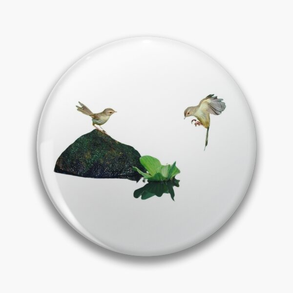 Item preview, Brown-headed wren warbler (scientific name: Prinia inornata): There are 10 subspecies designed and sold by zenger2021.