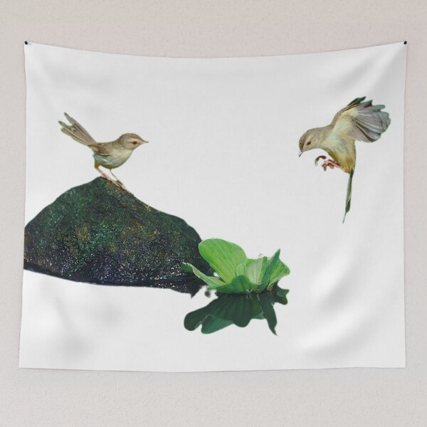 Item preview, Brown-headed wren warbler (scientific name: Prinia inornata): There are 10 subspecies designed and sold by zenger2021.