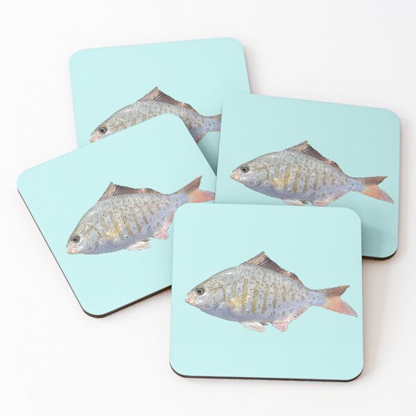 Item preview, Redtail Surf Perch Color Print  designed and sold by designsasstultd.