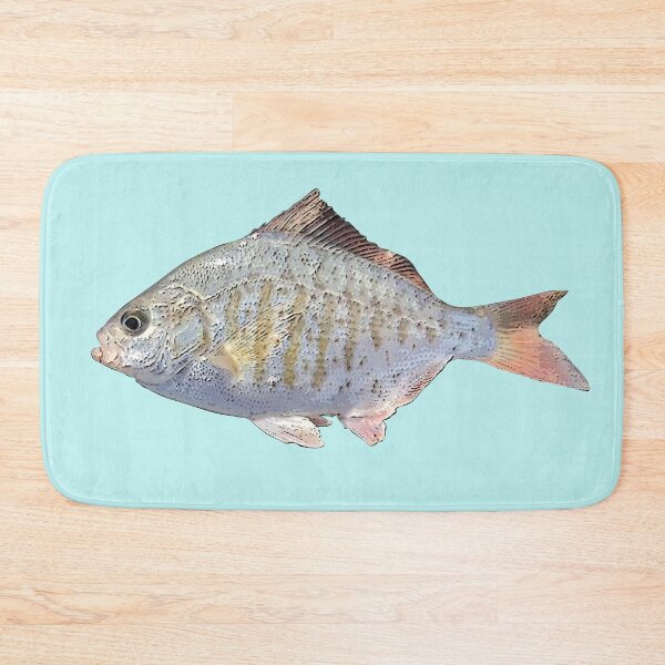 Item preview, Redtail Surf Perch Color Print  designed and sold by designsasstultd.