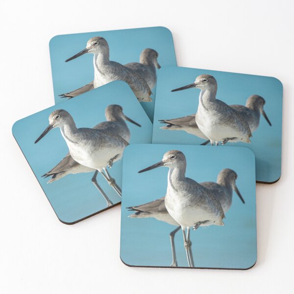 Item preview, Florida Sandpiper designed and sold by Frank Parisi.