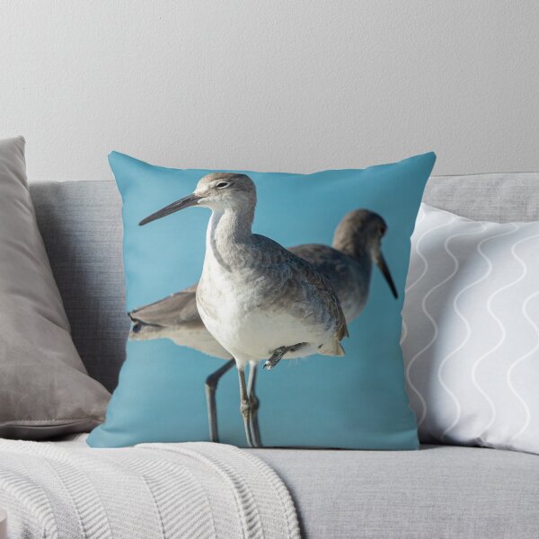 Item preview, Florida Sandpiper designed and sold by Frank Parisi.