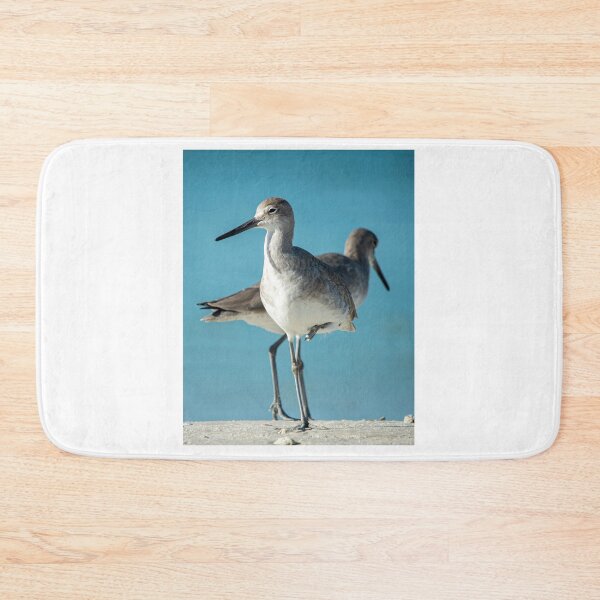 Item preview, Florida Sandpiper designed and sold by Frank Parisi.