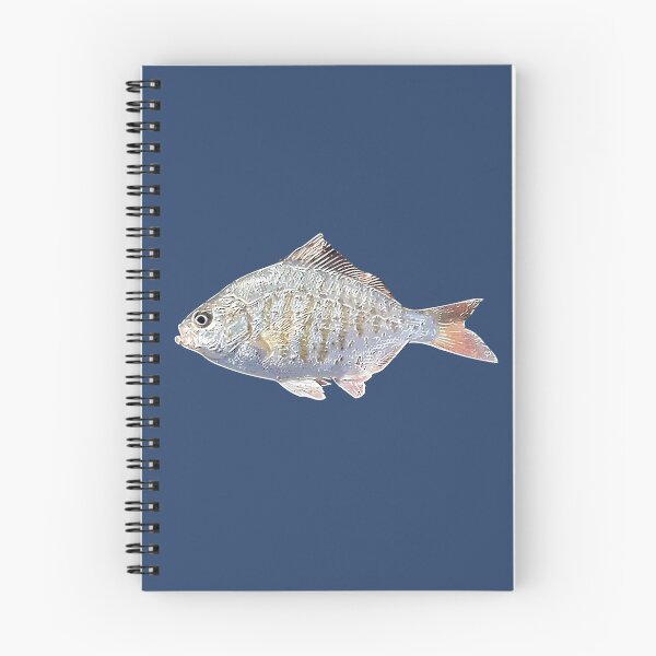 Item preview,  Redtail Surf Perch White Alternate Print  designed and sold by designsasstultd.