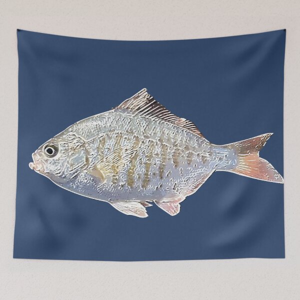 Item preview,  Redtail Surf Perch White Alternate Print  designed and sold by designsasstultd.