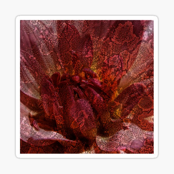 Floral Symbiosis 1 Sticker