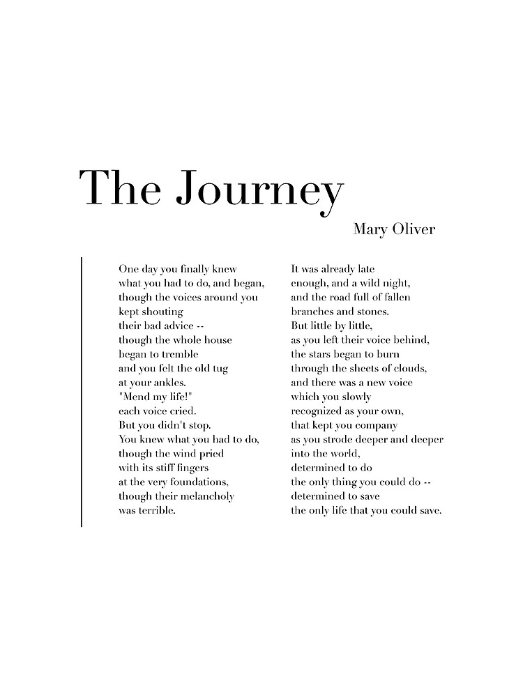 mary oliver the journey which book