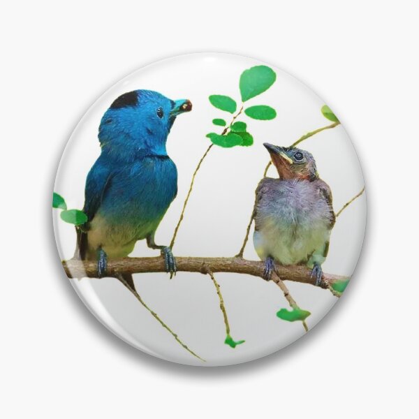 Item preview, Black-naped blue flycatcher generally refers to black-naped king flycatcher, black-naped king flycatcher designed and sold by zenger2021.
