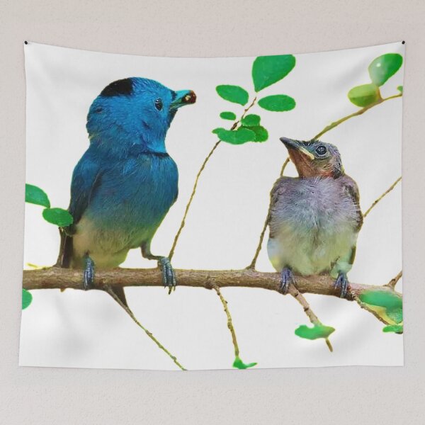 Item preview, Black-naped blue flycatcher generally refers to black-naped king flycatcher, black-naped king flycatcher designed and sold by zenger2021.