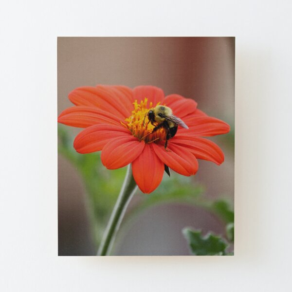 Wood Mounted Print